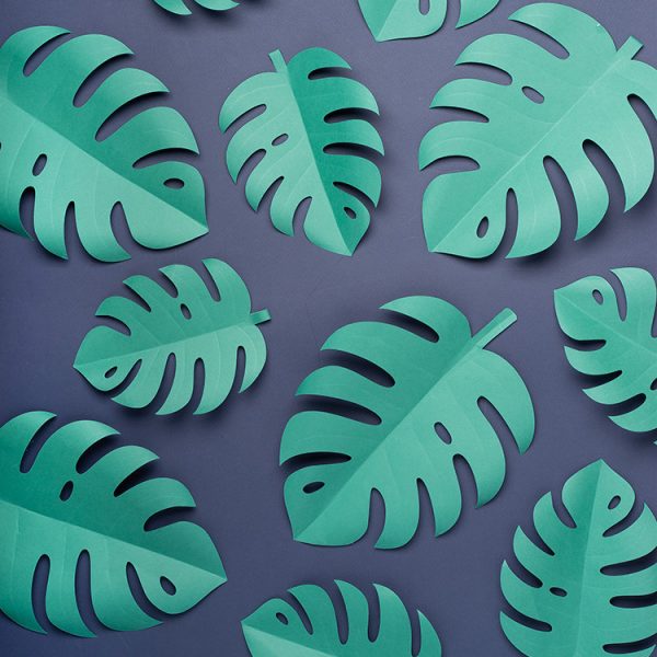 Tropical Paper Leaves Templates - OGCrafts